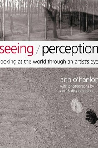 Cover of Seeing/Perception: Looking at the World Through an Artist's Eyes