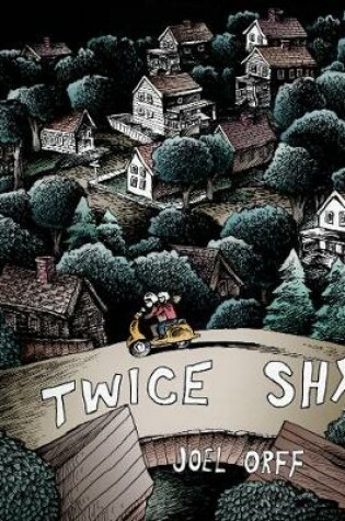 Cover of Twice Shy