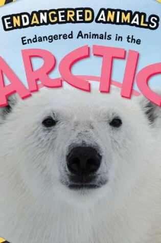 Cover of Endangered Animals in the Arctic