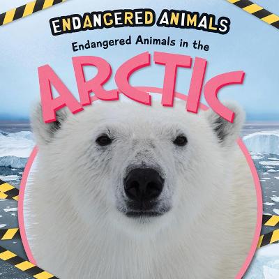 Book cover for Endangered Animals in the Arctic