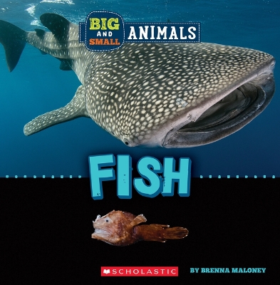 Cover of Fish (Wild World: Big and Small Animals)