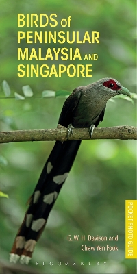 Book cover for Birds of Peninsular Malaysia and Singapore