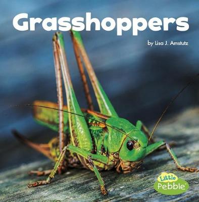 Book cover for Grasshoppers (Little Critters)