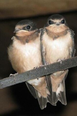 Cover of Two Juvenile Barn Swallows Bird Journal