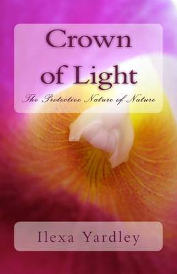 Book cover for Crown of Light