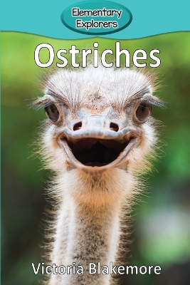 Book cover for Ostriches