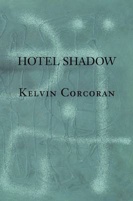 Book cover for Hotel Shadow