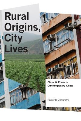 Book cover for Rural Origins, City Lives