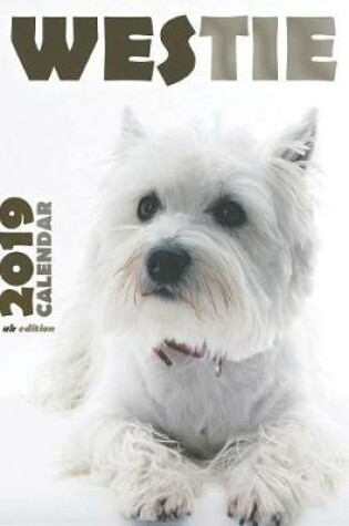 Cover of Westie 2019 Calendar (UK Edition)