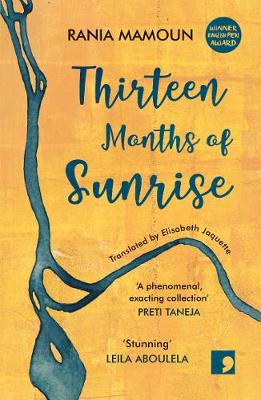 Book cover for Thirteen Months of Sunrise