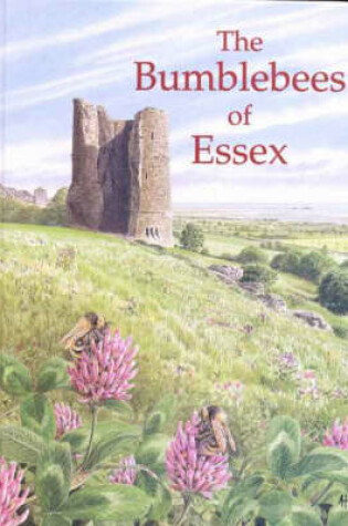 Cover of The Bumblebees of Essex