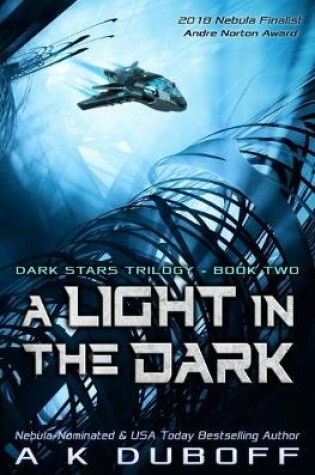 Cover of A Light in the Dark