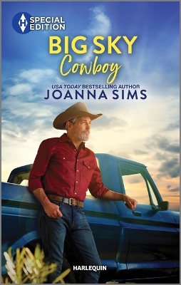 Book cover for Big Sky Cowboy