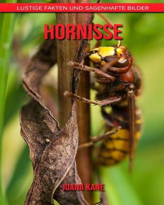 Book cover for Hornisse