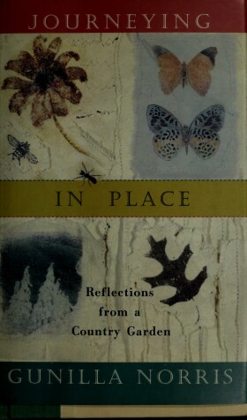 Book cover for Journeying in Place