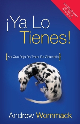 Book cover for Ya lo tienes!