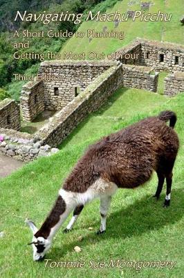 Book cover for Navigating Machu Picchu