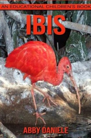 Cover of Ibis! An Educational Children's Book about Ibis with Fun Facts & Photos