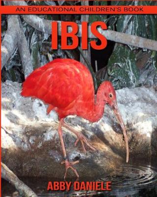 Book cover for Ibis! An Educational Children's Book about Ibis with Fun Facts & Photos