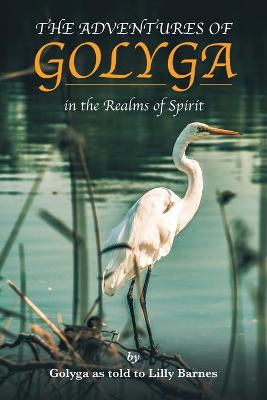 Book cover for The Adventures of Golyga