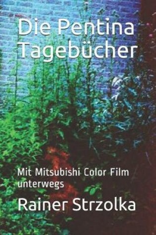 Cover of Die Pentina Tageb�cher