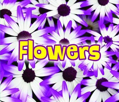 Cover of All About Flowers