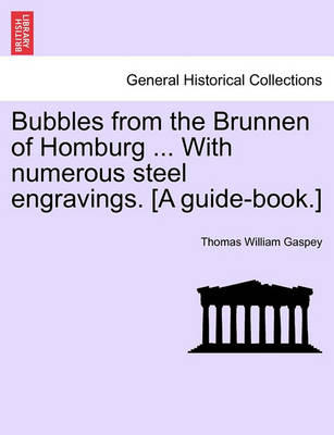 Book cover for Bubbles from the Brunnen of Homburg ... with Numerous Steel Engravings. [A Guide-Book.]