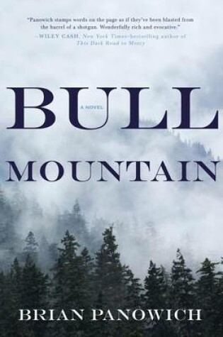 Cover of Bull Mountain