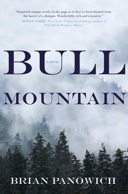 Book cover for Bull Mountain