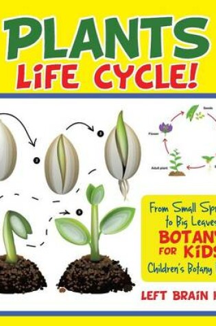 Cover of A Plant's Life Cycle| from Small Sprouts to Big Leaves