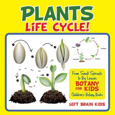 Book cover for A Plant's Life Cycle| from Small Sprouts to Big Leaves