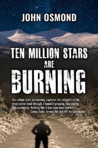 Cover of Ten Million Stars Are Burning