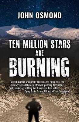 Book cover for Ten Million Stars Are Burning