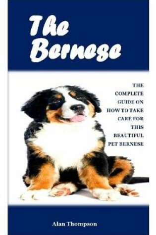 Cover of The Bernese