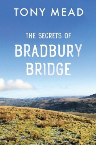 Cover of The Secrets of Bradbury Bridge