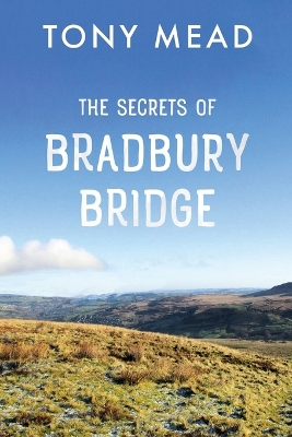 Book cover for The Secrets of Bradbury Bridge