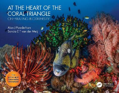 Book cover for At the Heart of the Coral Triangle