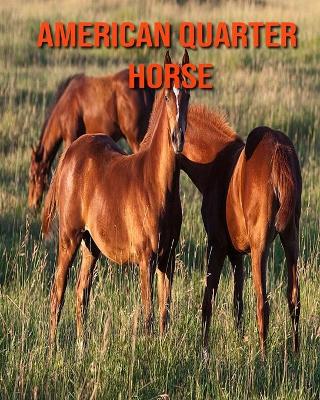 Book cover for American Quarter Horse