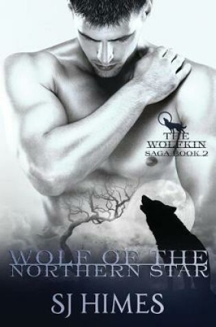 Cover of Wolf of the Northern Star