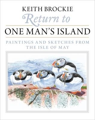 Book cover for Return to One Man's Island