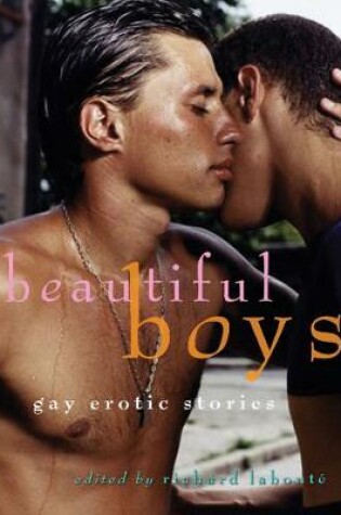 Cover of Beautiful Boys