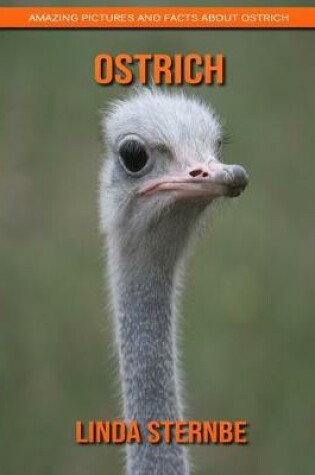 Cover of Ostrich