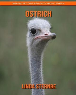 Book cover for Ostrich