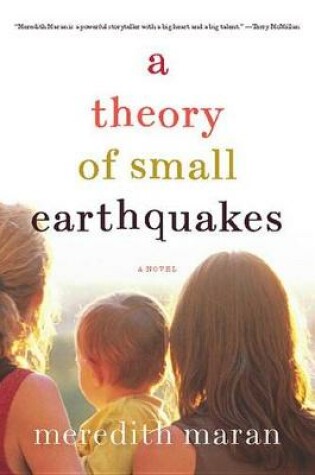 Cover of A Theory of Small Earthquakes