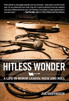 Book cover for Hitless Wonder