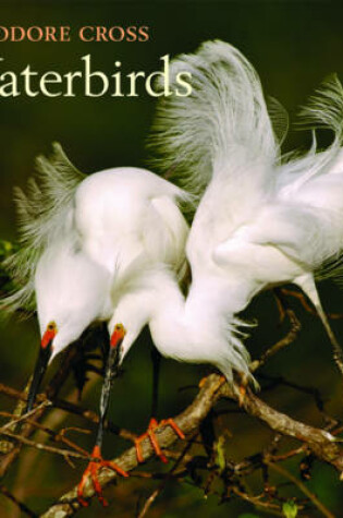 Cover of Waterbirds