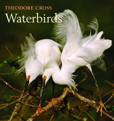 Cover of Waterbirds