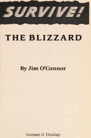 Cover of Survive/The Blizzard