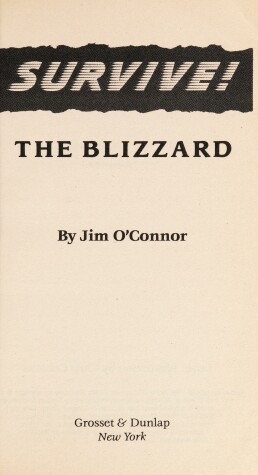 Book cover for Survive/The Blizzard