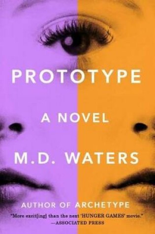 Cover of Prototype